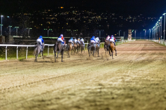 20211007-202456-DSC0762