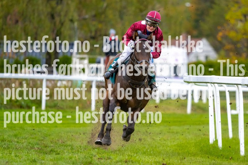 20211013-120011-DSC1807