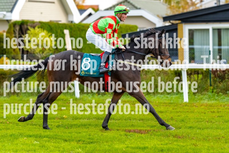 20211013-131250-DSC2096
