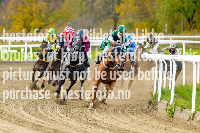 20211013-134012-DSC2167