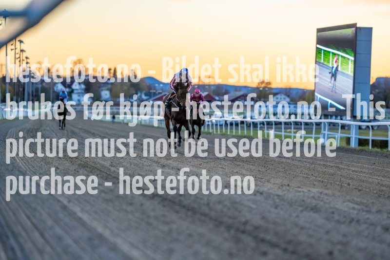 20211021-174701-DSC3004