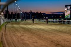 20211021-183621-DSC3242
