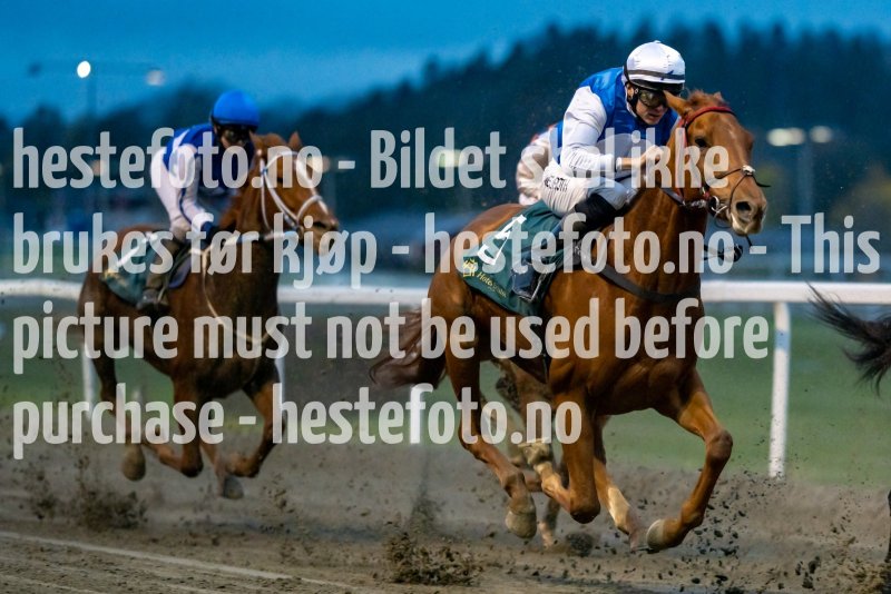 20211028-172733-DSC4420