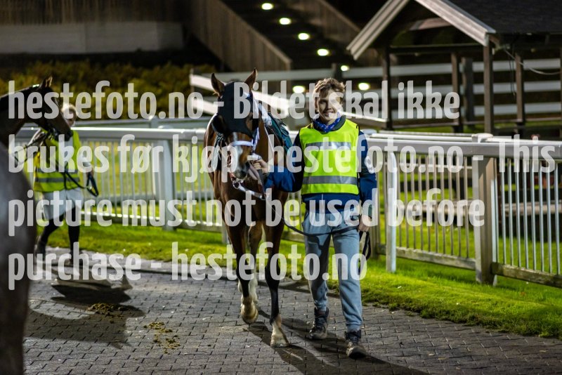 20211028-183319-DSC4566