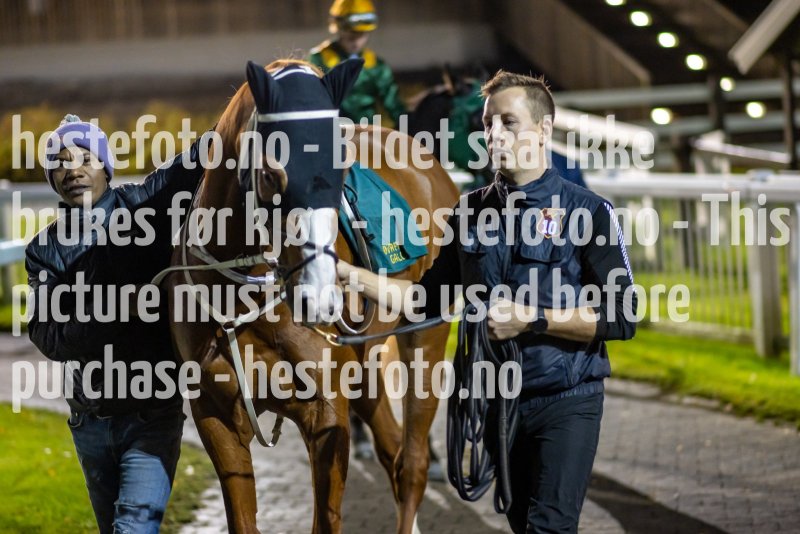 20211028-183329-DSC4583