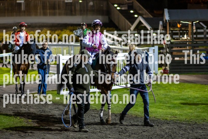 20211028-183522-DSC4589