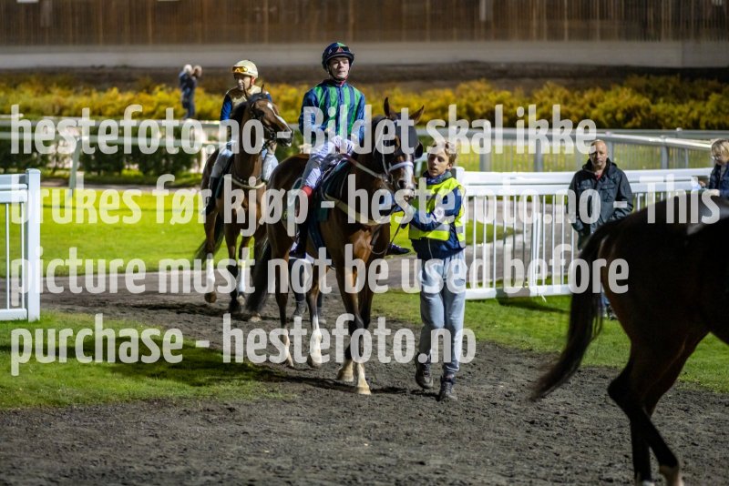 20211028-183546-DSC4602