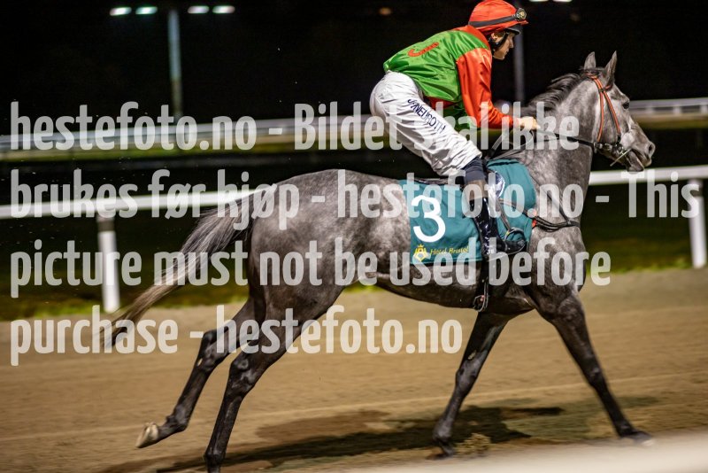 20211028-183624-DSC4608