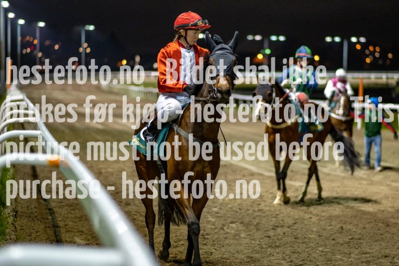 20211028-184043-DSC4651