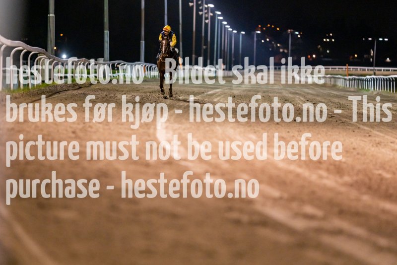 20211028-195203-DSC5114