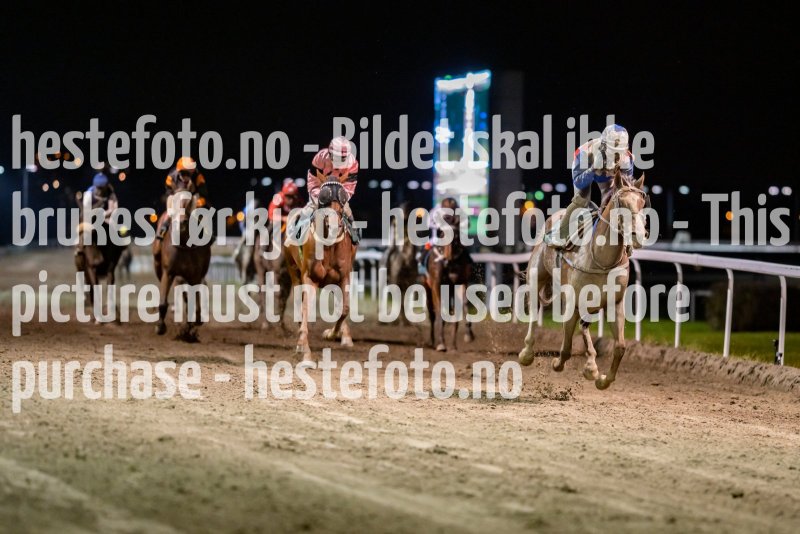 20211028-202409-DSC5331