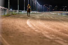 20211028-195203-DSC5114