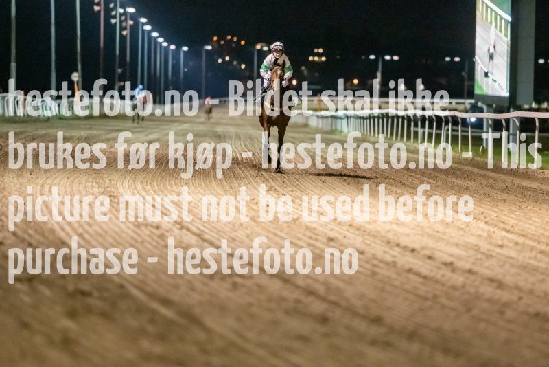 20211104-184830-DSC5811