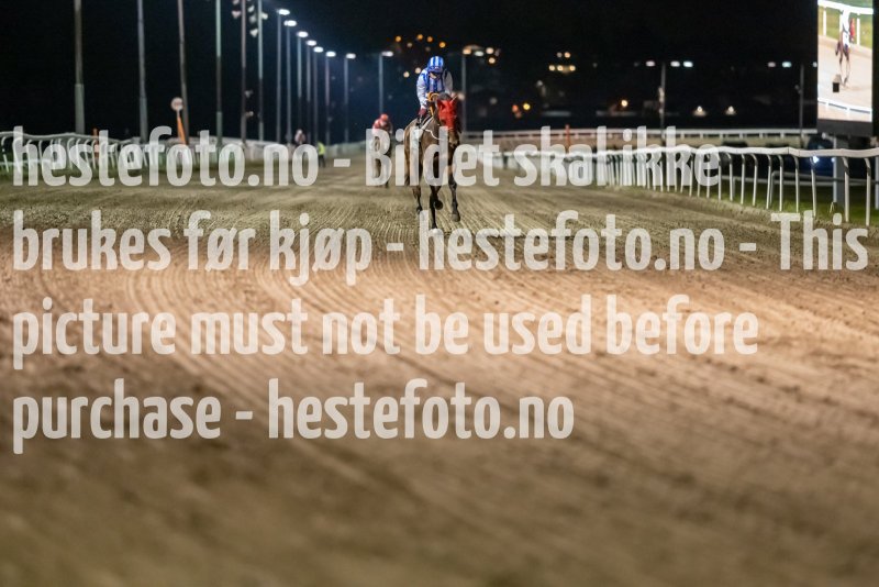20211104-184841-DSC5819