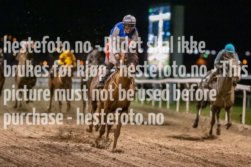 20211104-192224-DSC5981