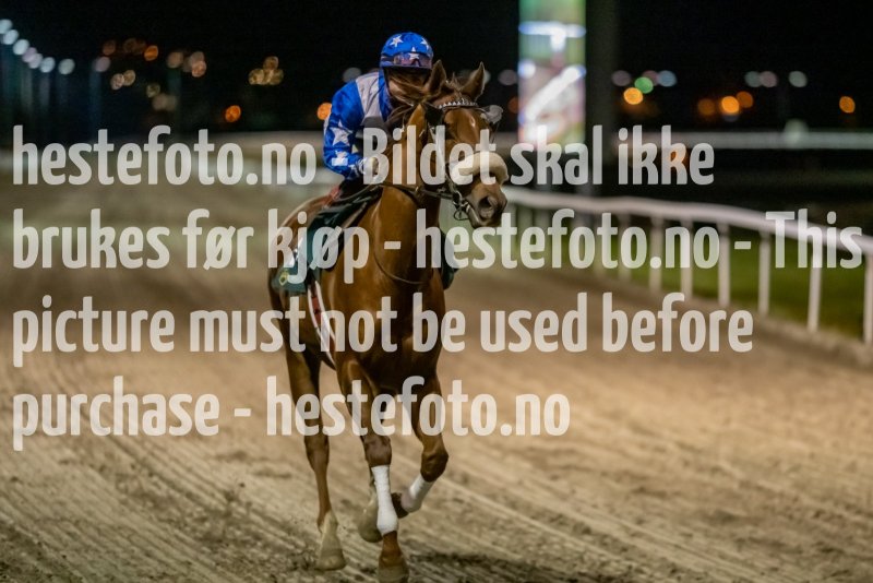 20211104-194018-DSC6019