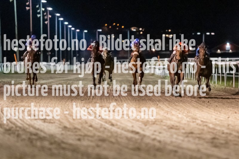 20211104-194458-DSC6035