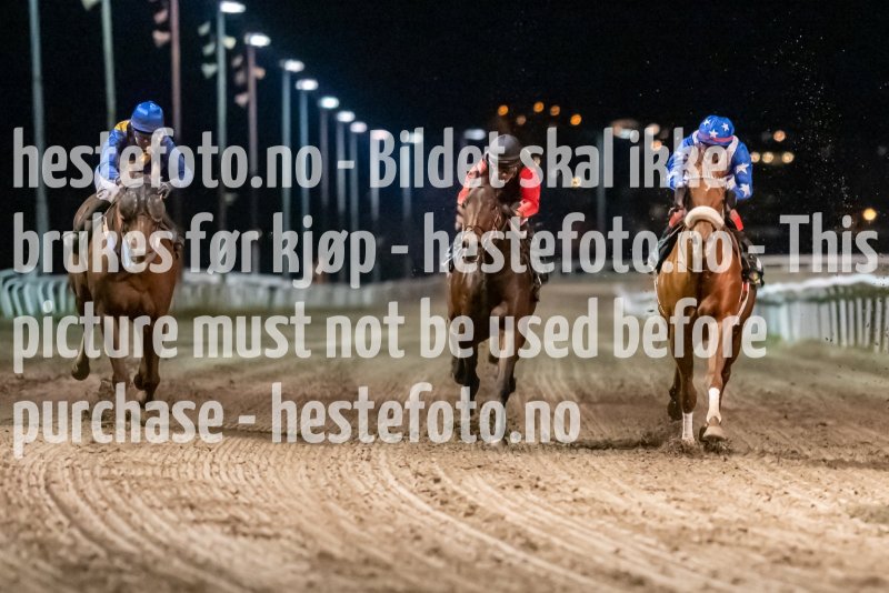 20211104-194459-DSC6039