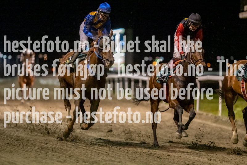 20211104-194501-DSC6047