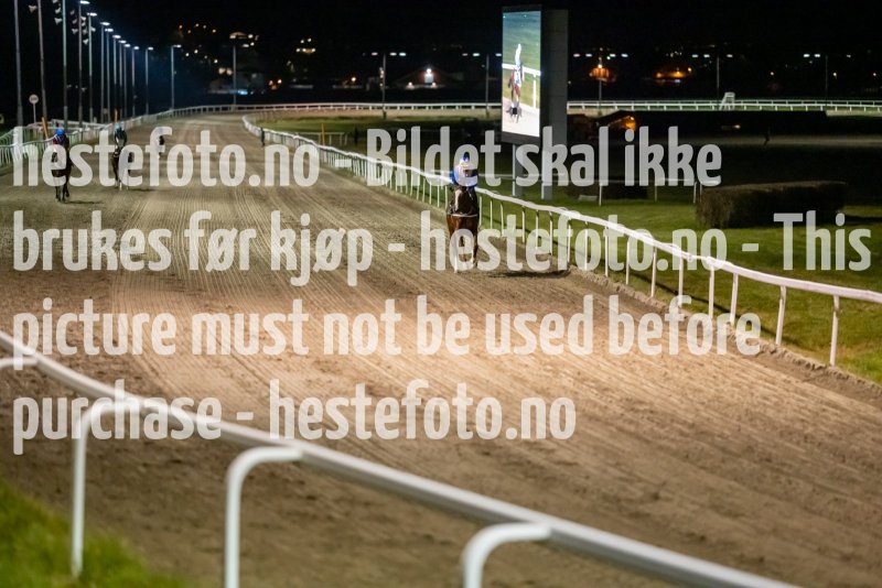 20211104-200254-DSC6118