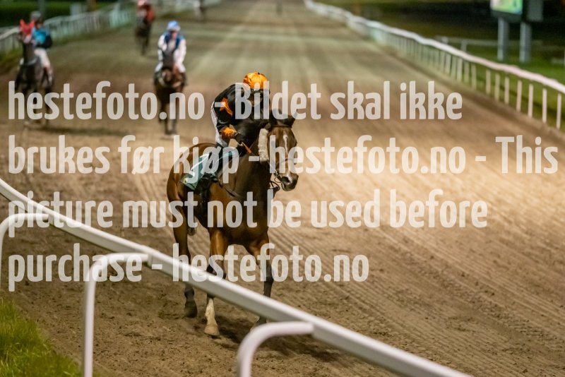 20211104-202723-DSC6254