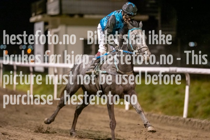 20211104-203655-DSC6356