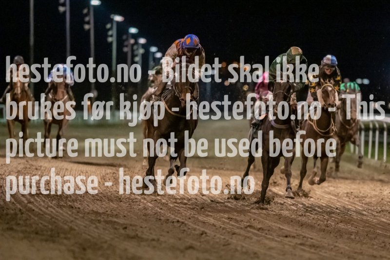 20211104-210122-DSC6373