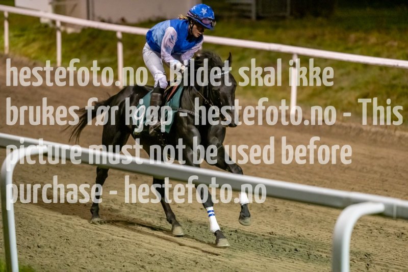 20211104-211734-DSC6434