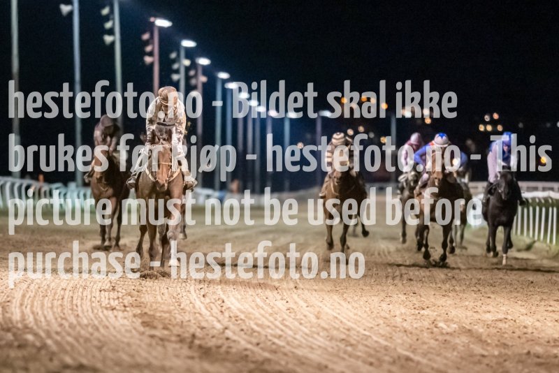 20211104-212824-DSC6517