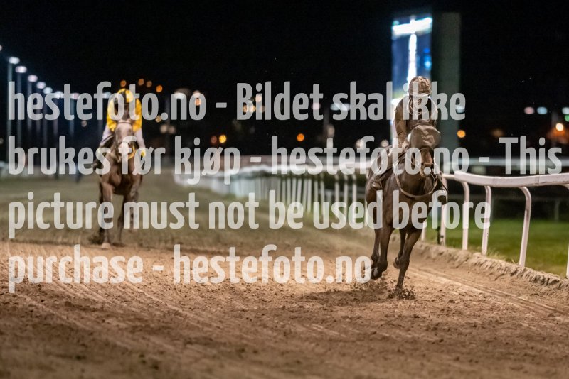 20211104-212829-DSC6539