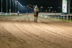 20211104-184830-DSC5811