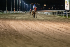 20211104-184841-DSC5819