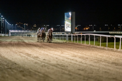 20211104-185554-DSC5861