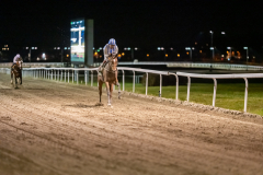 20211104-185726-DSC5885