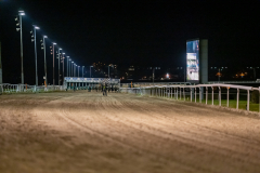 20211104-192039-DSC5940