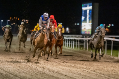 20211104-192224-DSC5977