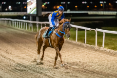 20211104-193946-DSC6007