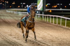 20211104-193950-DSC6011