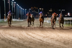 20211104-194458-DSC6035