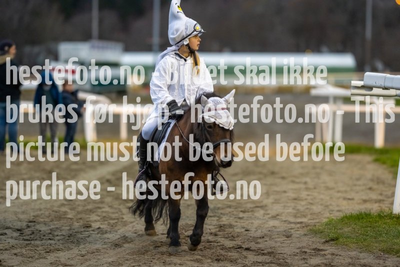 20211114-163931-DSC8403