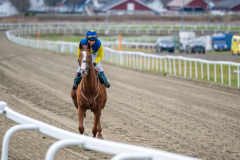 20211114-131813-DSC6857