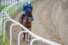 20211114-134050-DSC6999