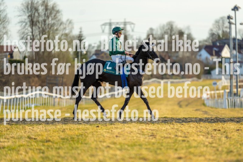 20220421-190222-DSC0006