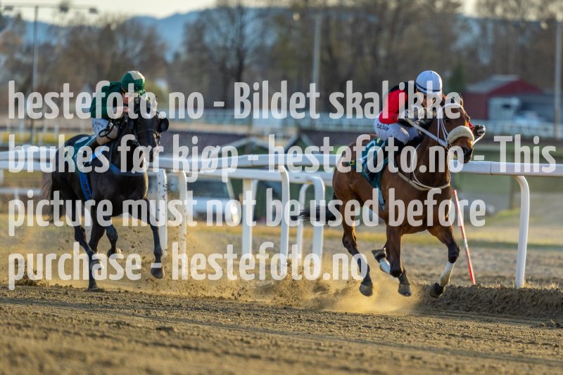 20220421-191012-DSC0046