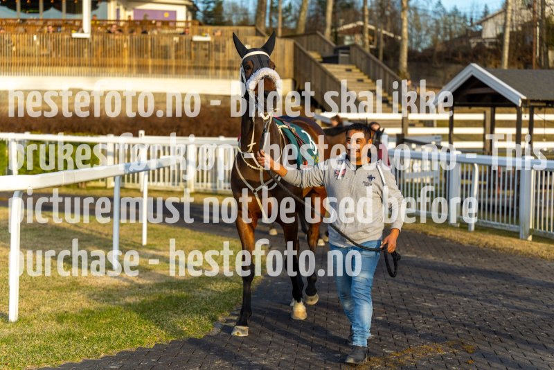 20220421-192256-DSC0248
