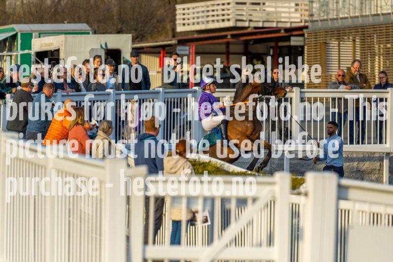 20220421-192610-DSC0286