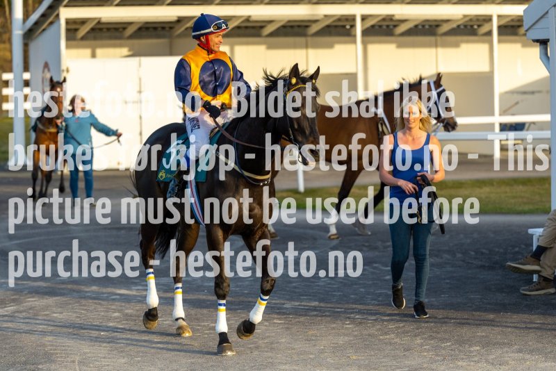 20220421-192831-DSC0330