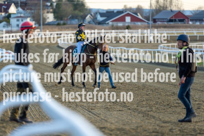 20220421-195254-DSC0626