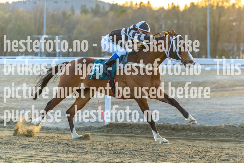 20220421-200002-DSC0709
