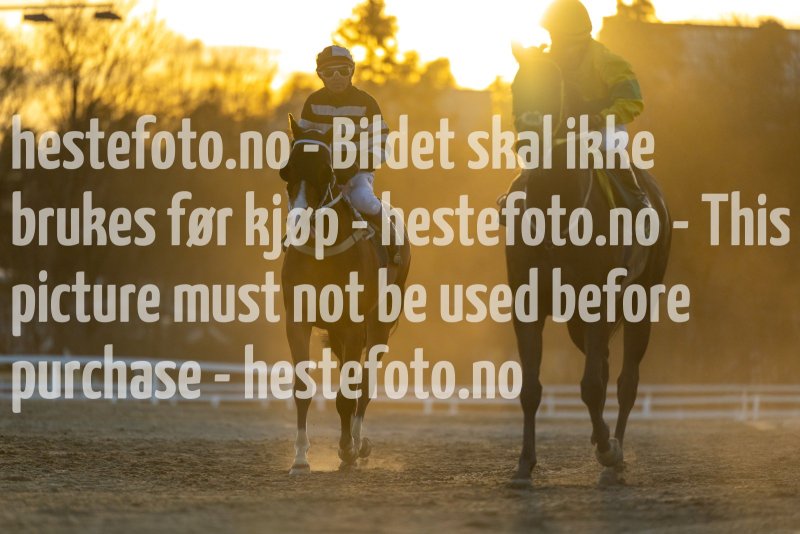 20220421-200215-DSC0777